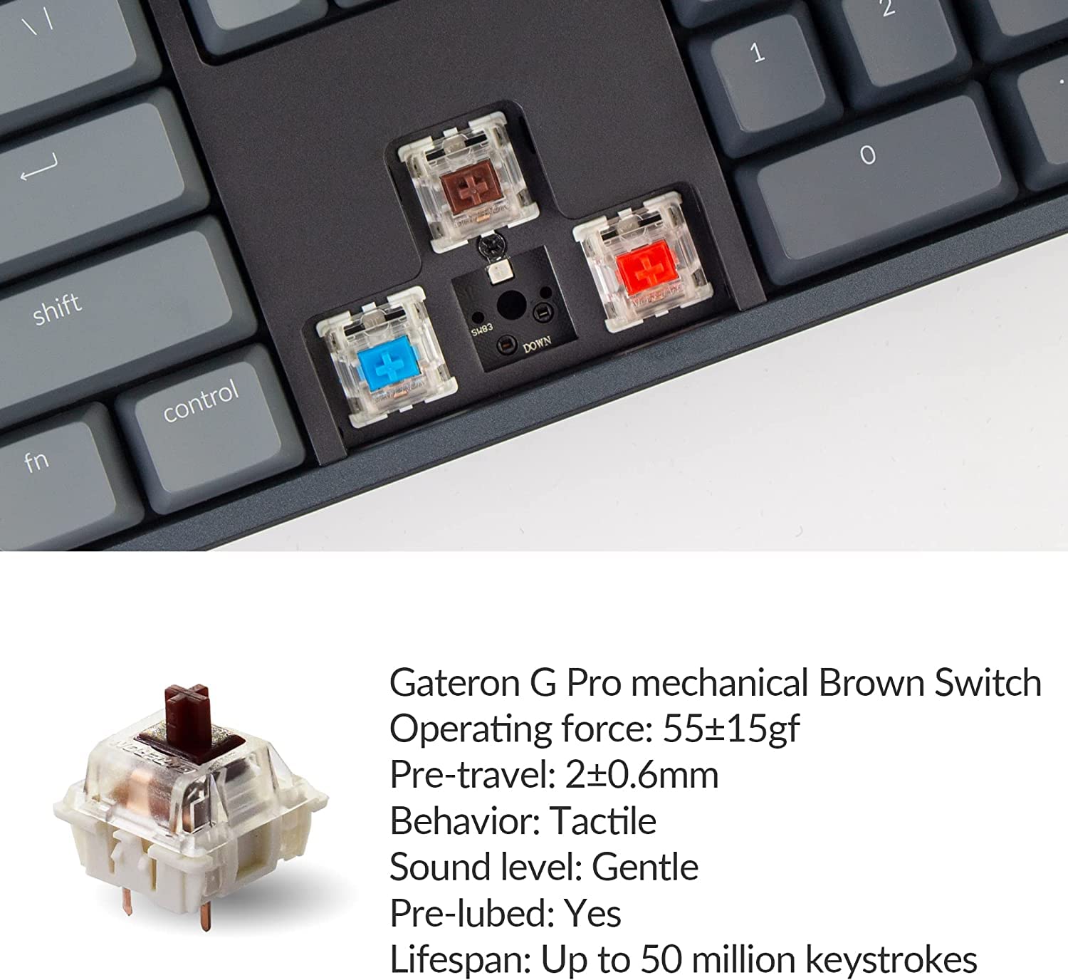 Amazon.com: Keychron K10 RGB Full Size Layout Hot-Swappable
